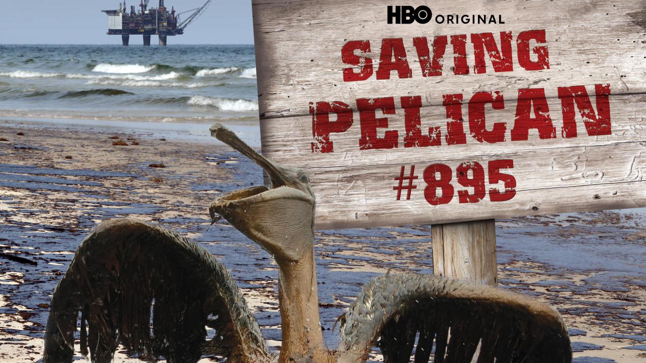 Saving Pelican 895