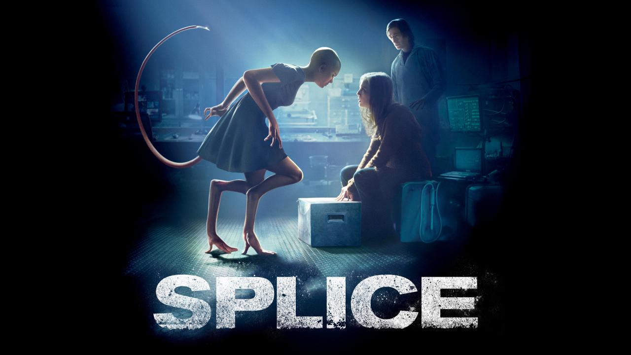 Splice