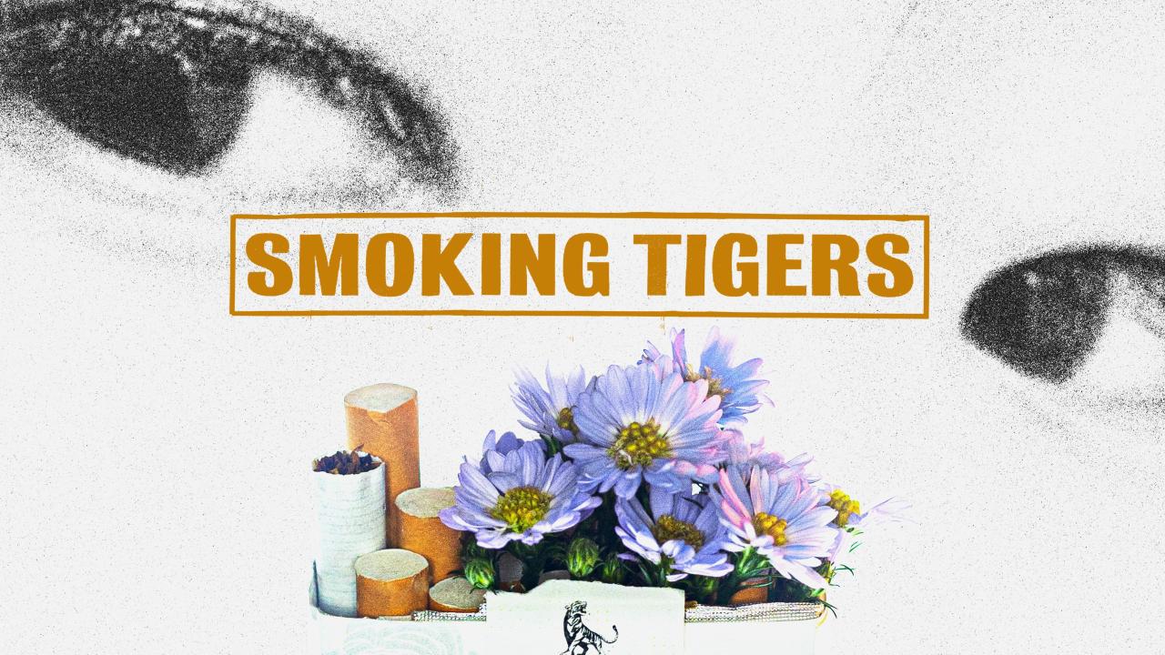 Smoking Tigers