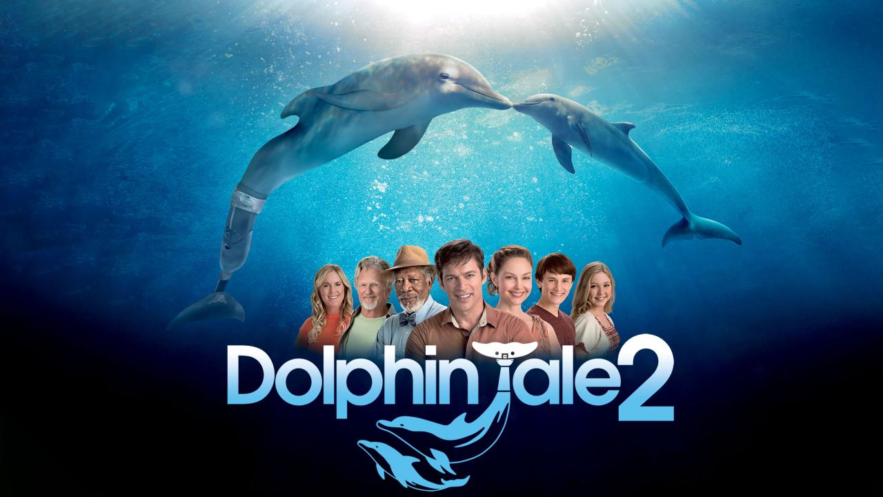 Dolphin Tale 2