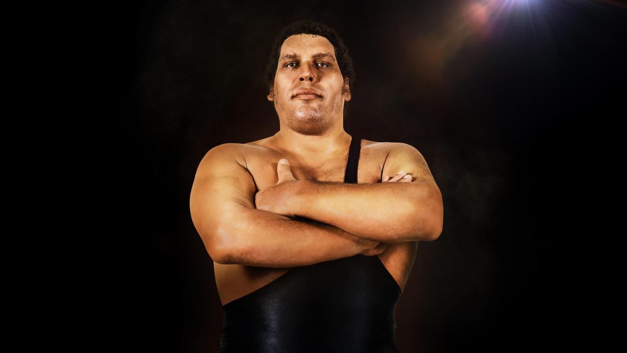 Andre the Giant