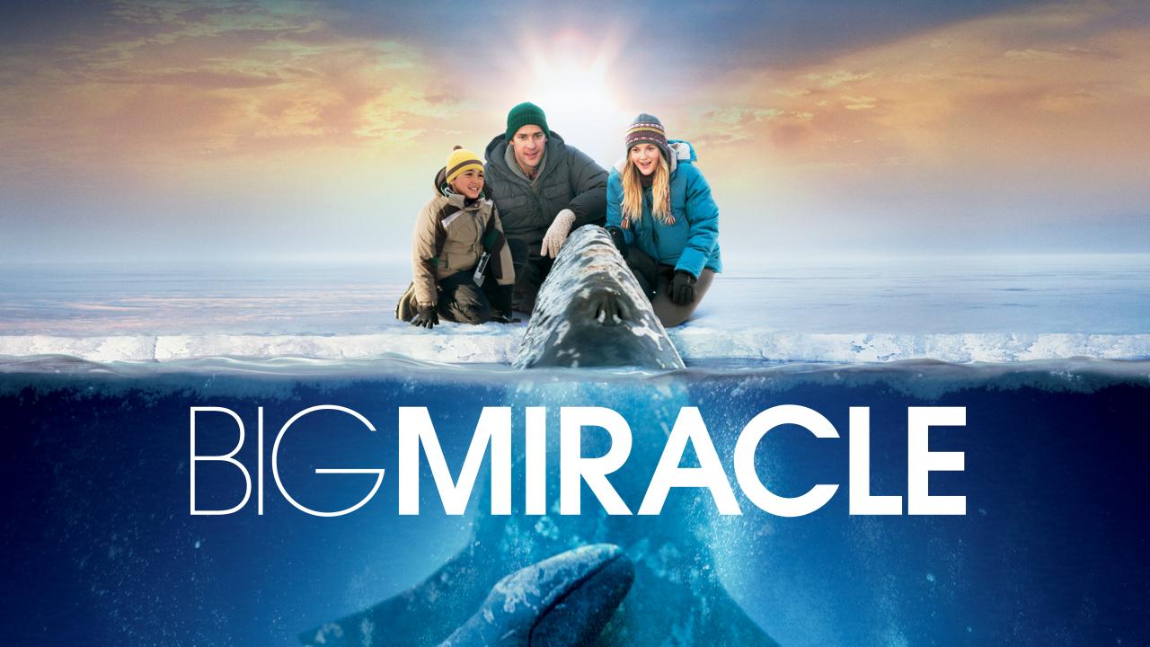 Big Miracle